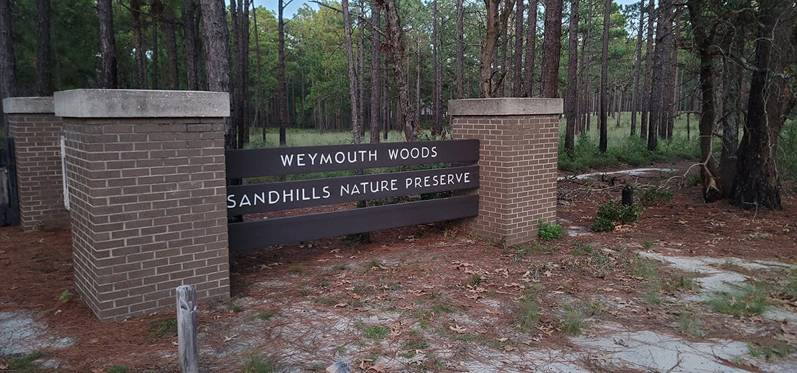 Weymouth Woods Sandhills Nature Preserve in Southern Pines.