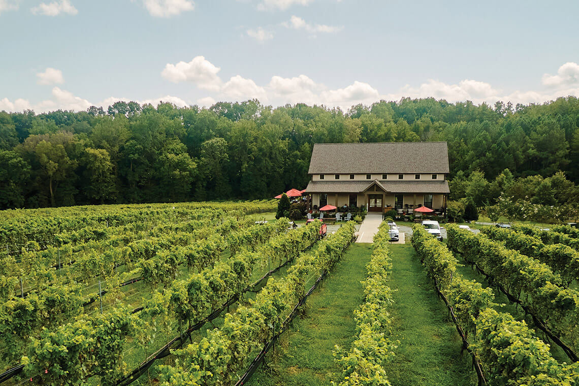 FireClay Cellars vineyard and tasting room