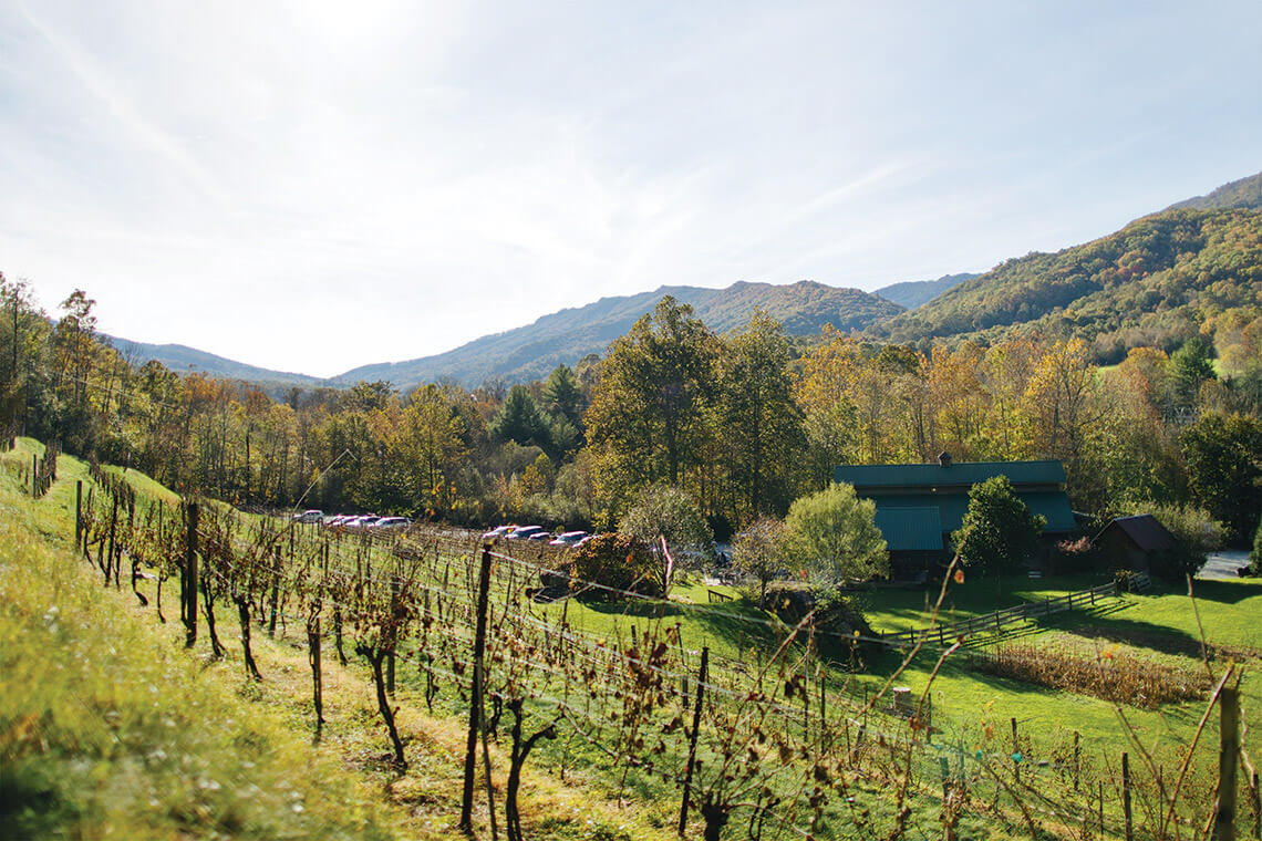 Grandfather Vineyard & Winery is terraced on the hillside overlooking the tasting room