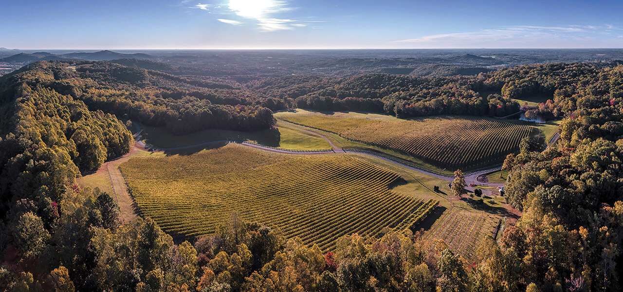Overview of Dynamis Estate Wines, one of the wineries in North Carolina's Yadkin Valley