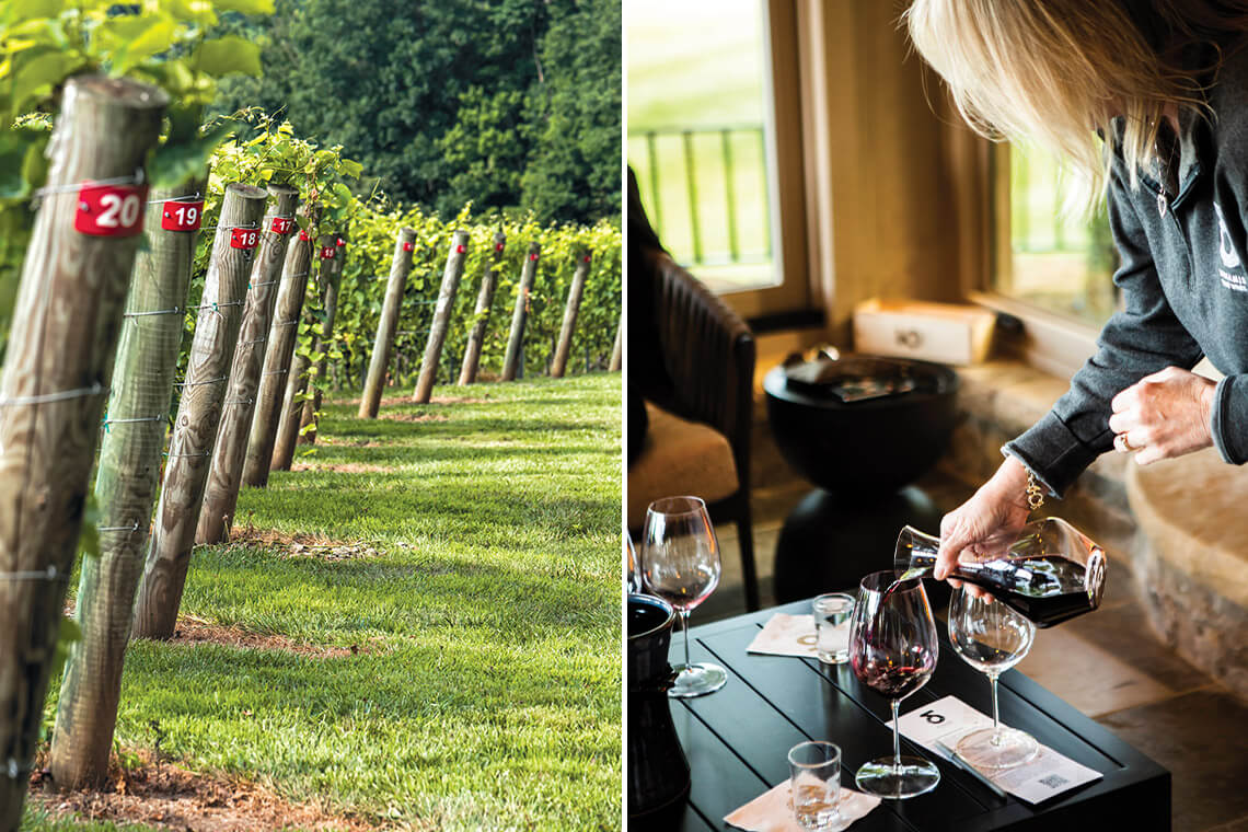 Grape vines grow at Dynamis Estate Wines; wine tasting at a North Carolina winery.