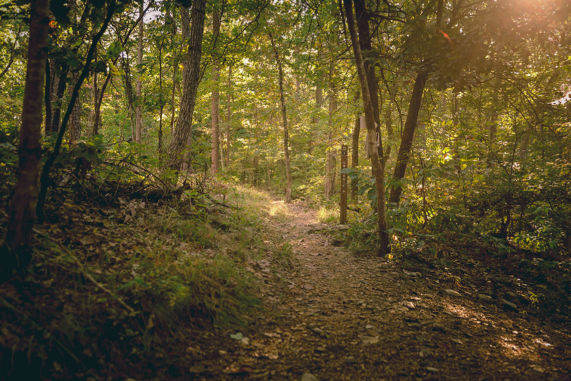 Uhwarrie Trail covers 28 miles of the Uwharrie National Forest.