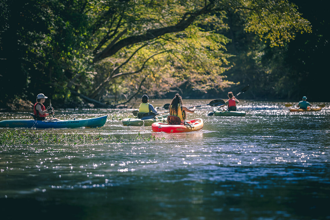 Uwharrie River Kayaking takes kayakers along a watery route through the Uwharrie National Forest.