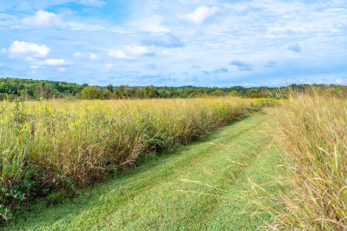 Prairie Trail at NC Museum of Science Prairie Ridge Ecostation