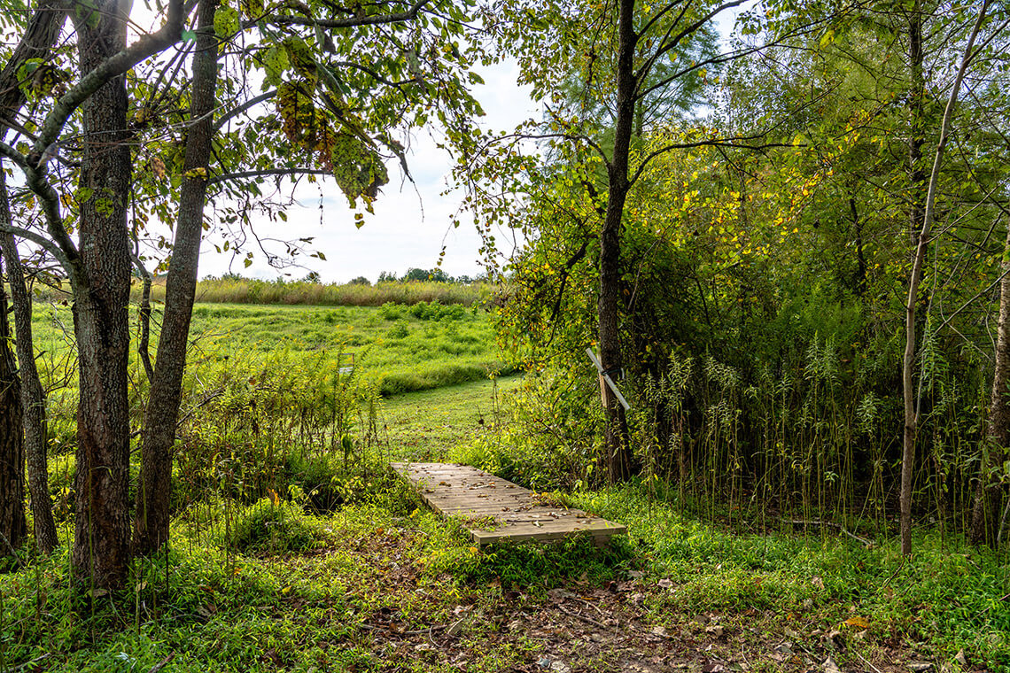 Bridge over path at Prairie Ridge Ecostation