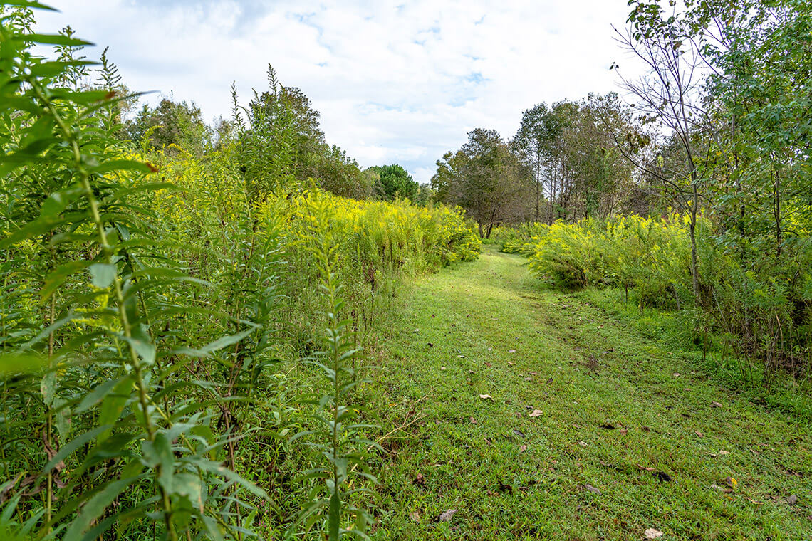 The Prairie Trail at Prairie Ridge Ecostation