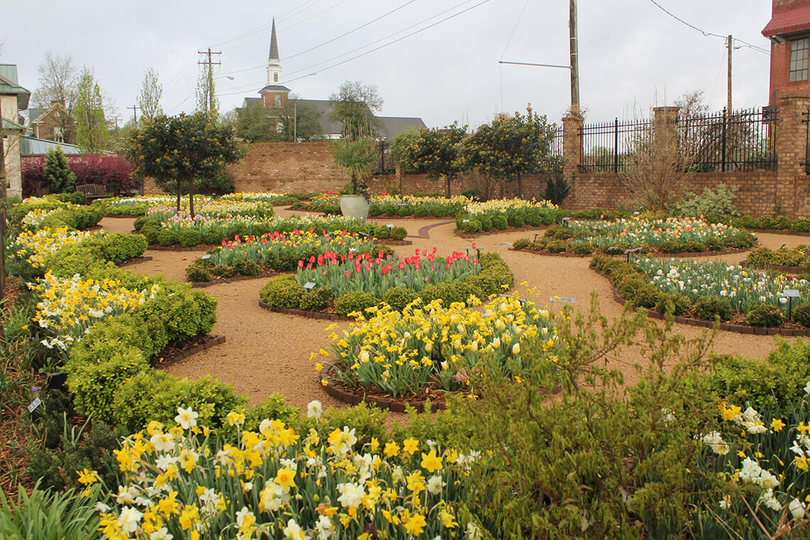 Paul J. Ciener Botanical Garden in the spring.