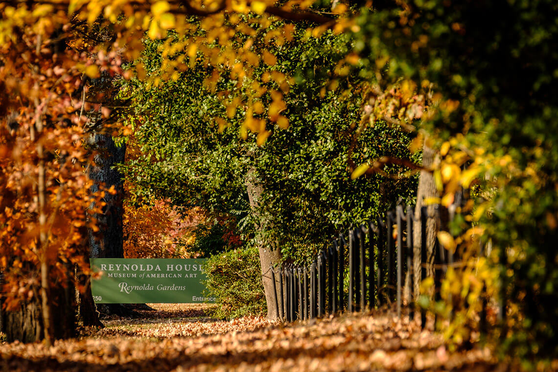 Fall trees surround the Reynolda Mile in Winston-Salem