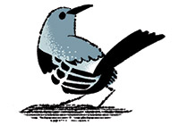 Illustration of a songbird, in reference to 4 calling birds in the 12 Days of Christmas