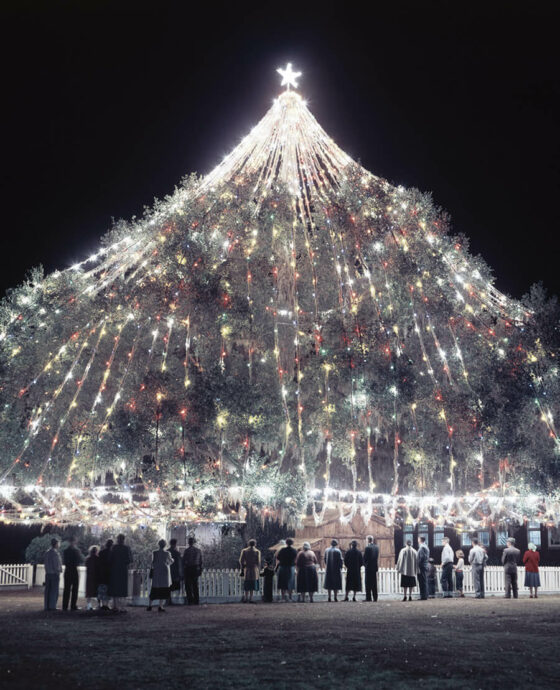 The 75-foot-tall community Christmas tree in Wilmington, NC