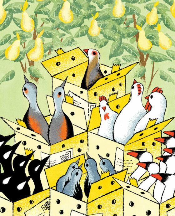 Cartoon of birds in mailboxes