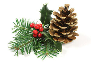 Pine cone and holly garnish