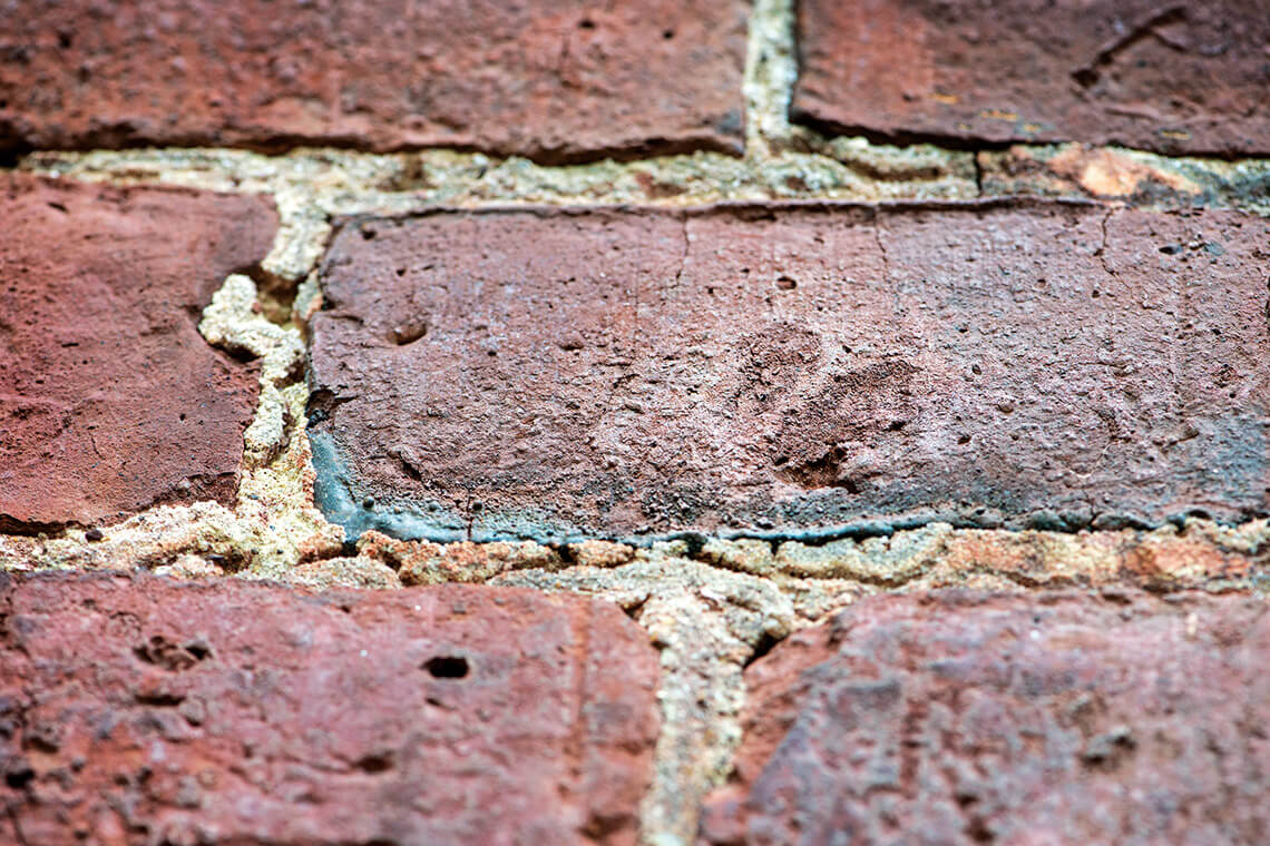 Red bricks in Ayr Mount with visible fingerprints from the enslaved people who made the bricks. 