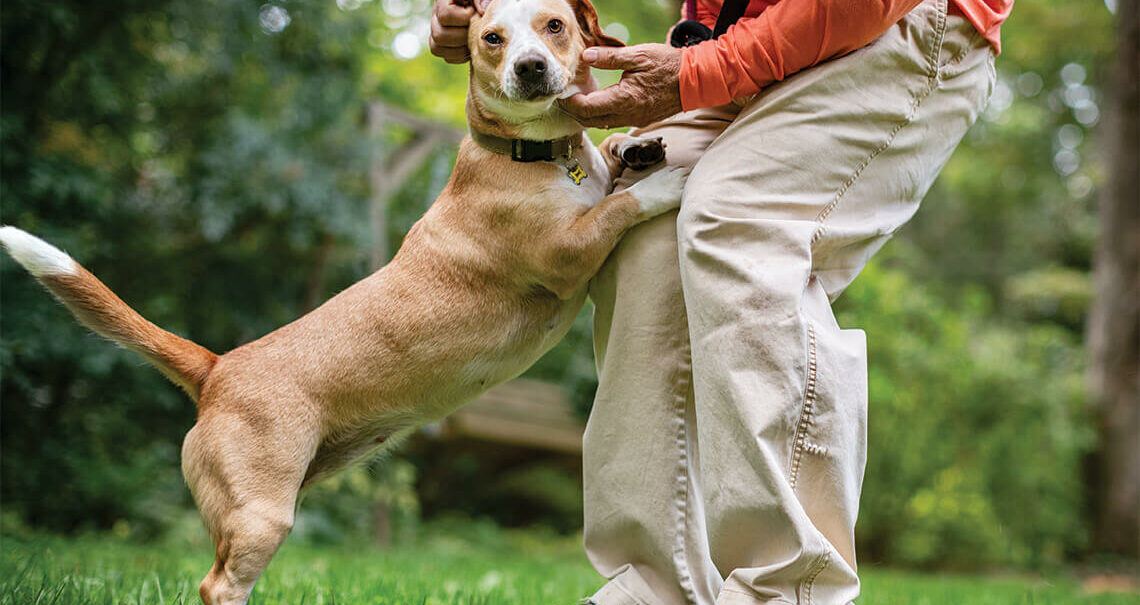 The author scratches Honey Bee's ears