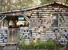 Coffee mugs hang from every surface at the House of Mugs