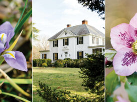Purple iris, the Colonial-Revival House at Montrose Gardens, and more winter blooms.