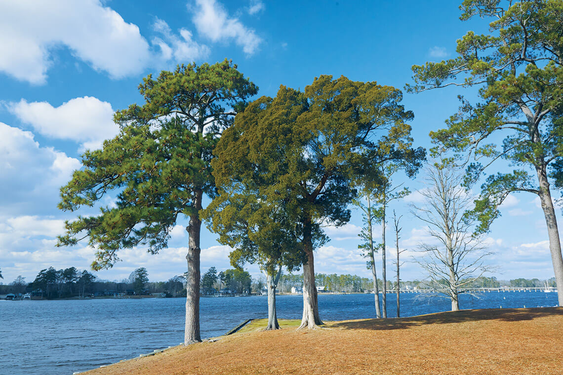 Bonner's Point and the Pamlico River in Bath, NC