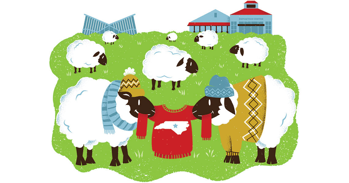 Illustration of sheep wearing wool sweaters