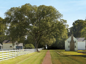 A walkway leading to the houses at Somerset Place.