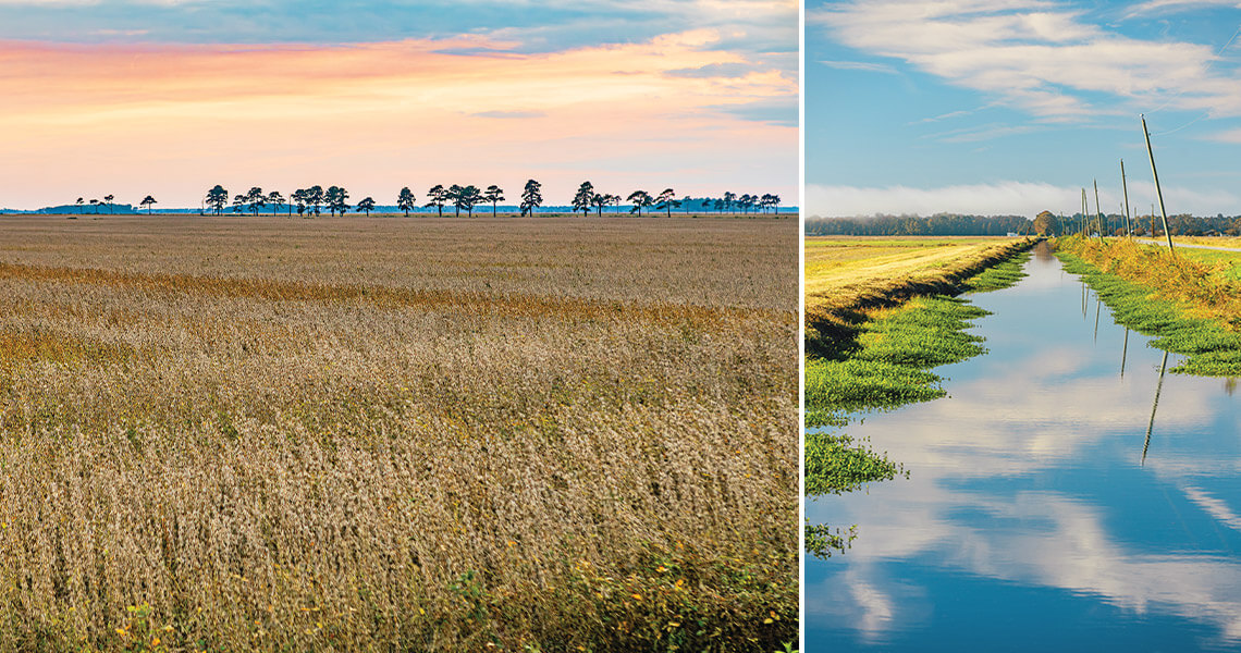 The fields and canal along Park Road outside of modern-day Somerset were once part of the plantation. Canal leads to Cypress trees.