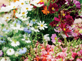 Bouquets of flowers grown at Blawesome flower farm.
