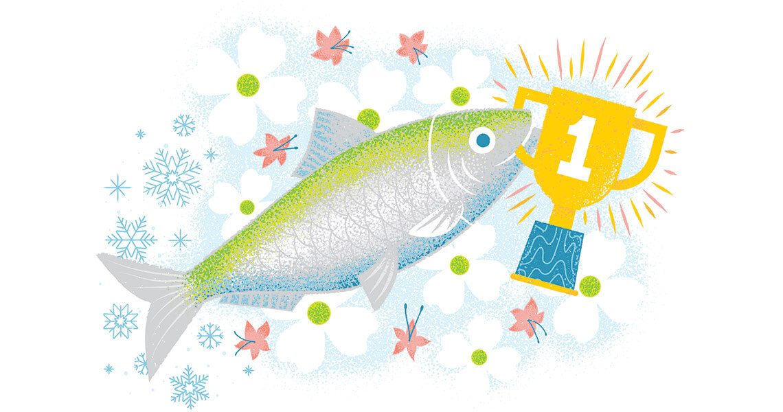 Illustration of Shad Fish and a number 1 trophy