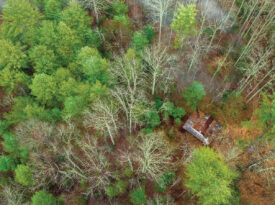 A thick forest surrounds Lost Cove's remaining structures.