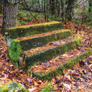 Old stairs from the church, now covered in moss 