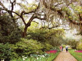 Visitors stroll through the vernal Airlie Gardens