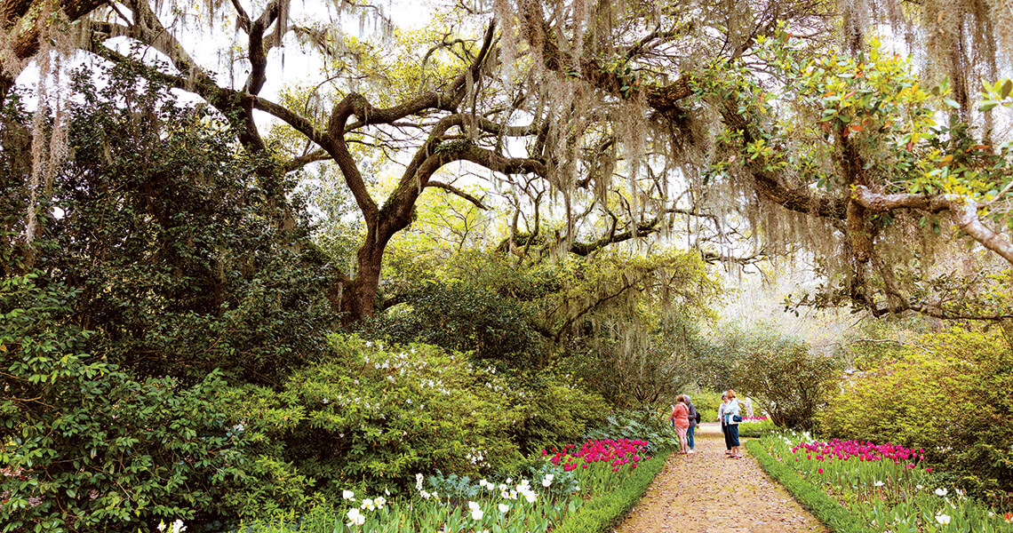 Visitors stroll through the vernal Airlie Gardens
