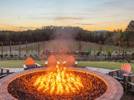 The outdoor fire pit and chairs at Mountain Brook Vineyards