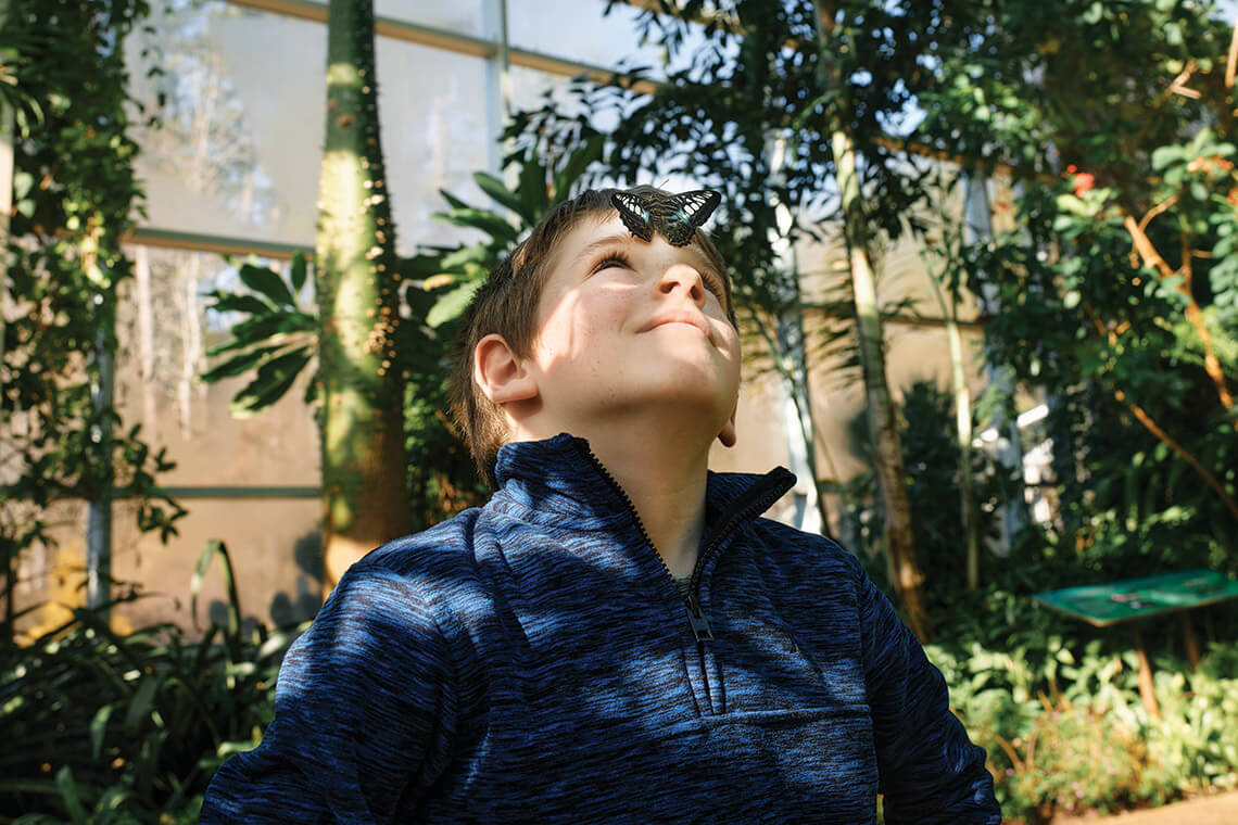 A butterfly lands on Thompson Rice at the Magic Wings Butterfly House in Durham