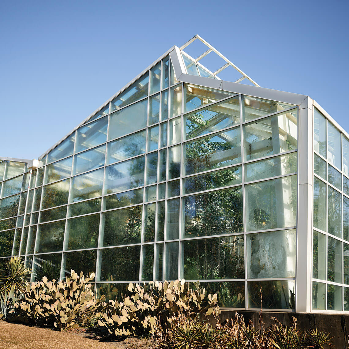 Butterfly Conservatory at Durham's Museum of Life and Science.