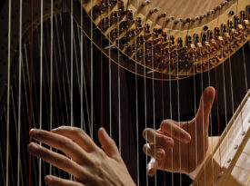 Hands playing the harp