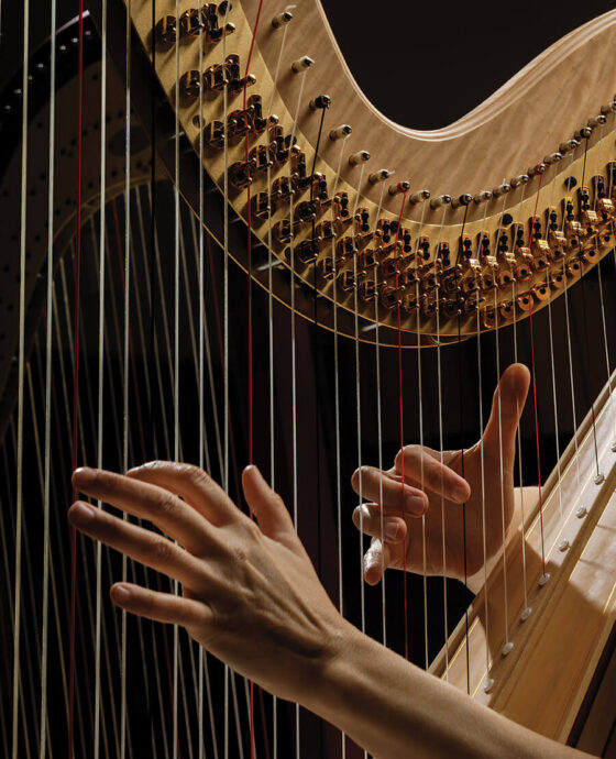 Hands playing the harp