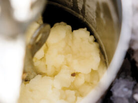Making honeysuckle sorbet in an ice cream maker