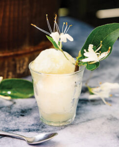 Honeysuckle sorbet