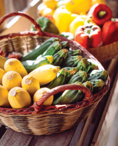 Summer squash and zucchini and peppers