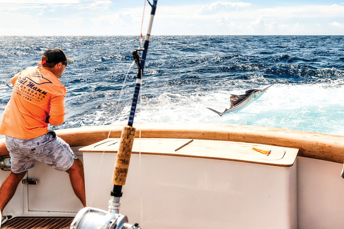 A sailfish leaping in the churning wake of a sportfishing boat out of Wanchese is a scene in North Carolina fishing