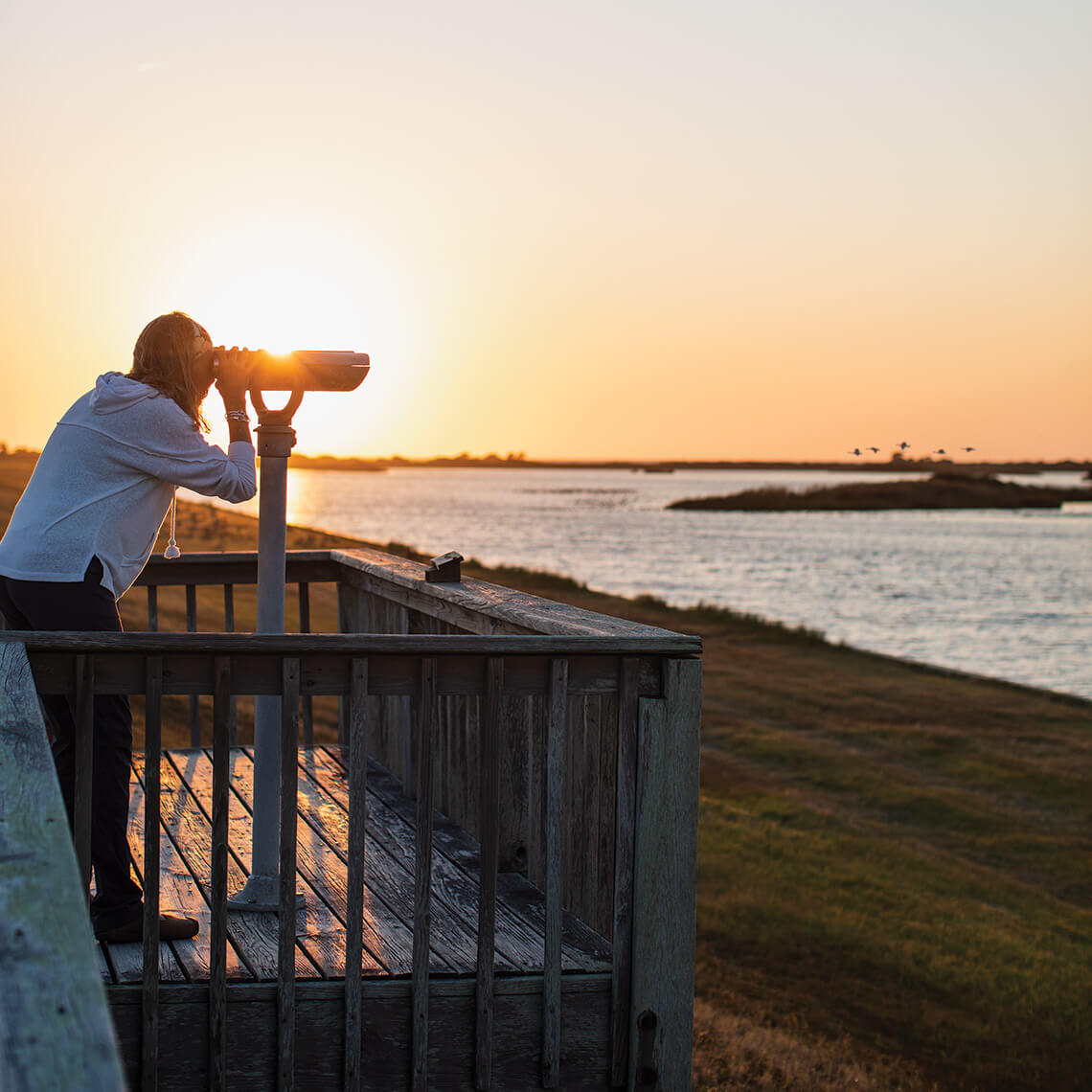 Birdwatcher looks for tundra swans from the observation deck at Pea Island National Wildlife Refuge