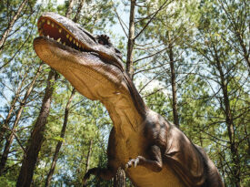 Animatronic T-Rex at Sweet Valley Ranch
