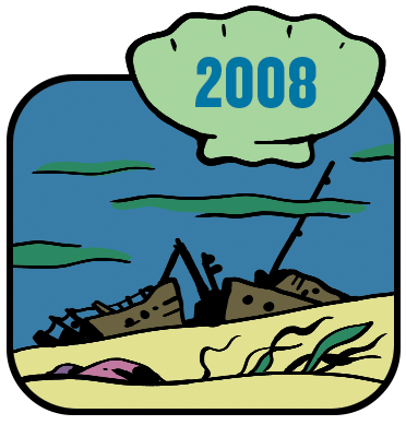 Cartoon of a shipwreck on the beach, labeled 2008