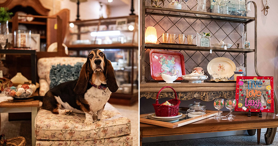 A basset hound on an ottoman; antique homegoods on a shelf at Rescue Re-Tail in Newton, NC