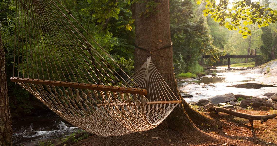 Hammock in the Asheville.