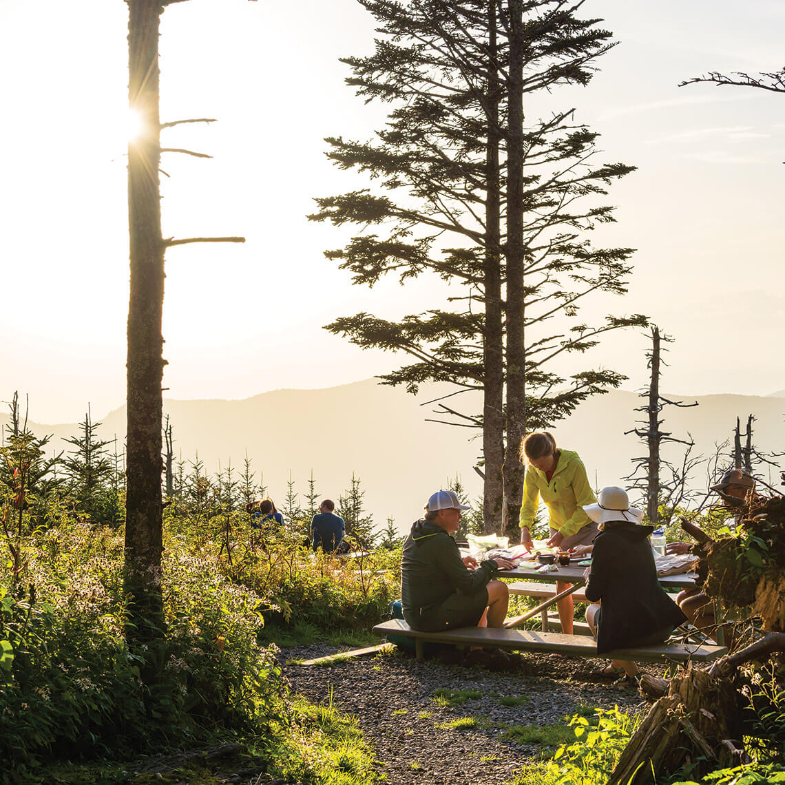 People picnic at Mount Mitchell State Park