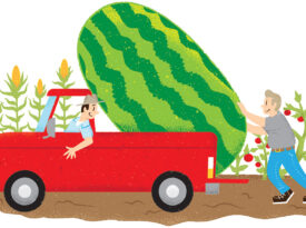 Illustration of pickup truck dropping off a giant watermelon