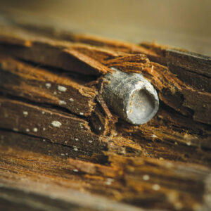 A bullet lodged in the hall from Gen. Sherman's soldiers who used the lodge for target practice