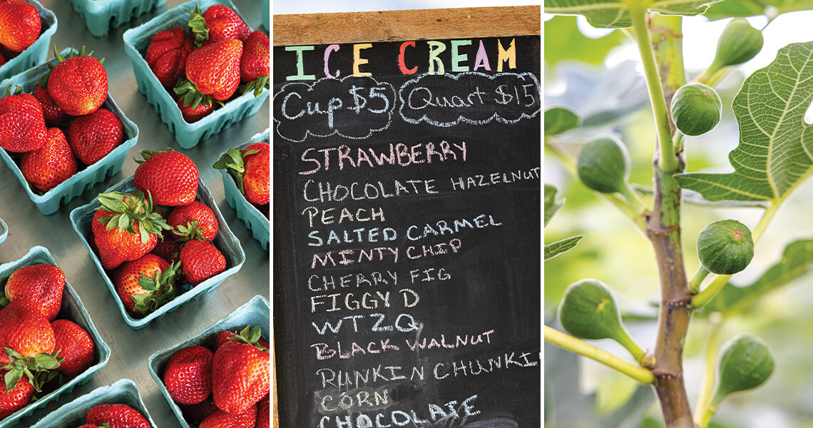 Pint of strawberries, the ice cream flavors menu, figs growing on trees