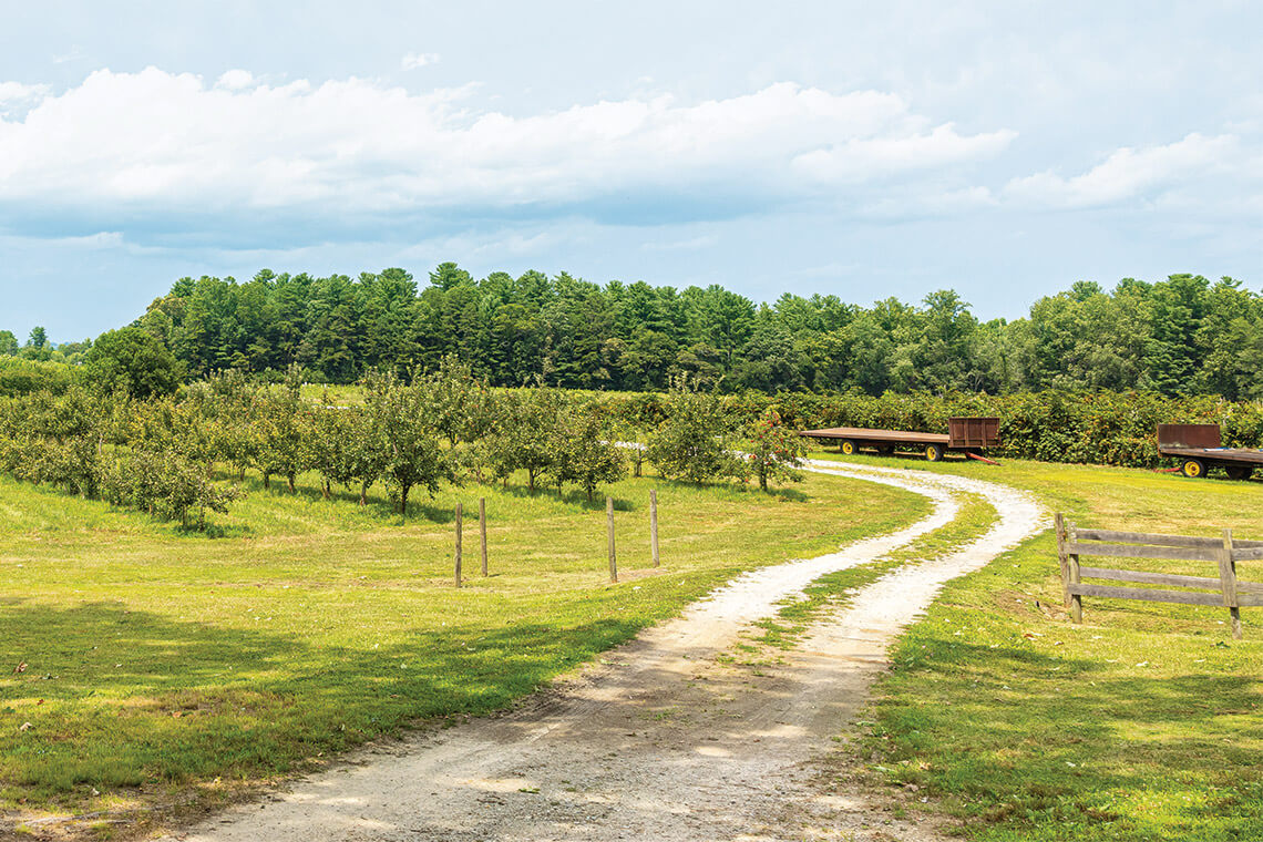 Orchards at McConnell Farms