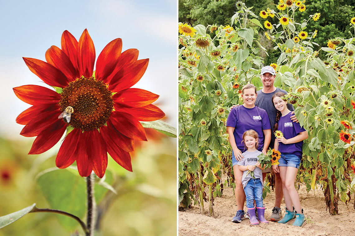Gerber daisy; Joshua Davis; his wife, Erin; and their daughters, Bayleigh and Delaney